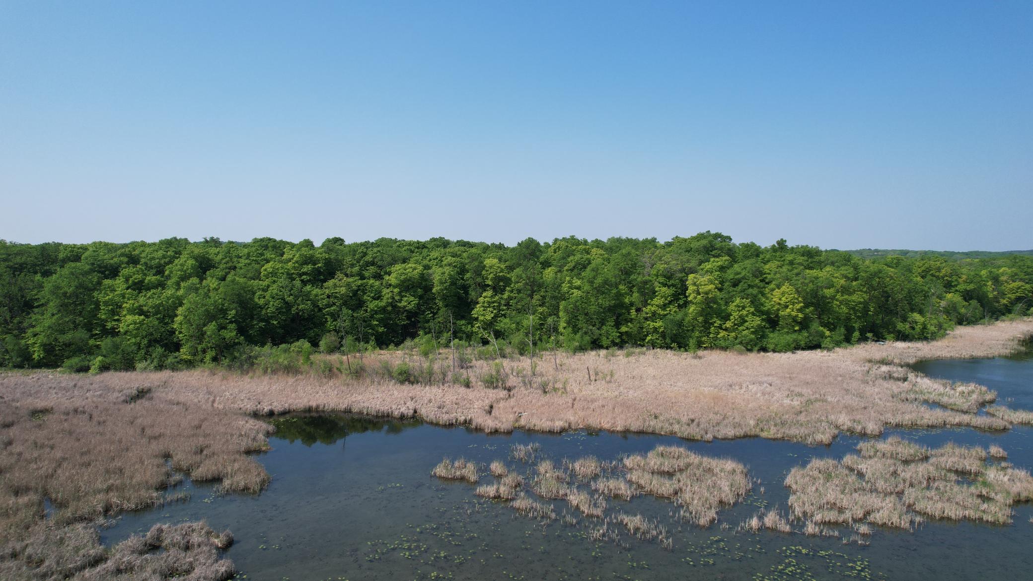 220-th 220th Street Clitherall, MN 56524 - Photo 17 of 21