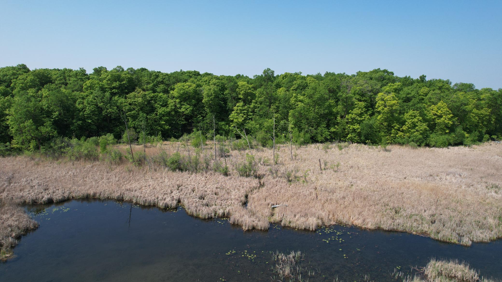 220-th 220th Street Clitherall, MN 56524 - Photo 18 of 21