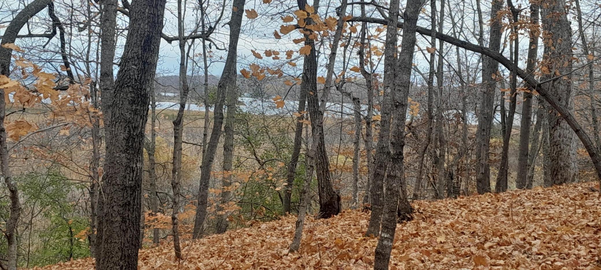 220-th 220th Street Clitherall, MN 56524 - Photo 2 of 21