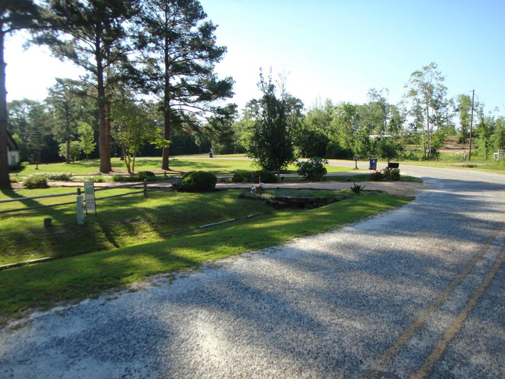 0 Otho Road Abbeville, AL 36310 - Photo 3 of 11