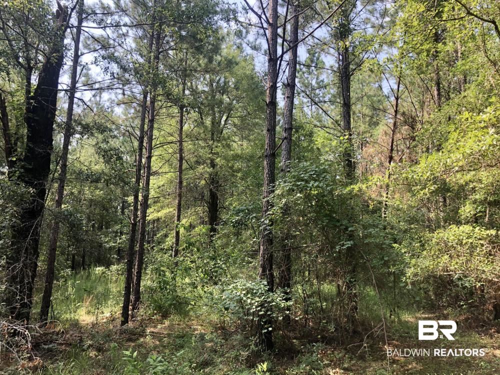 18560 Mason Street Citronelle, AL 36522 - Photo 9 of 45