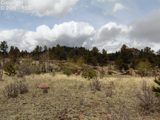 101 Pineway Road Guffey, CO 80820 - Photo 2 of 11 Plenty of variety of vegetation