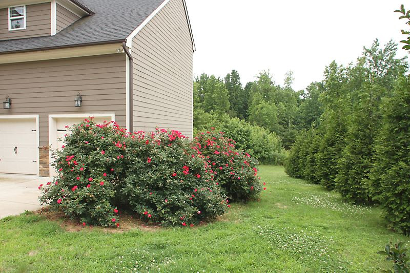 7332 Denlee Road Raleigh, NC 27603 - Photo 2 of 24 Photo 3