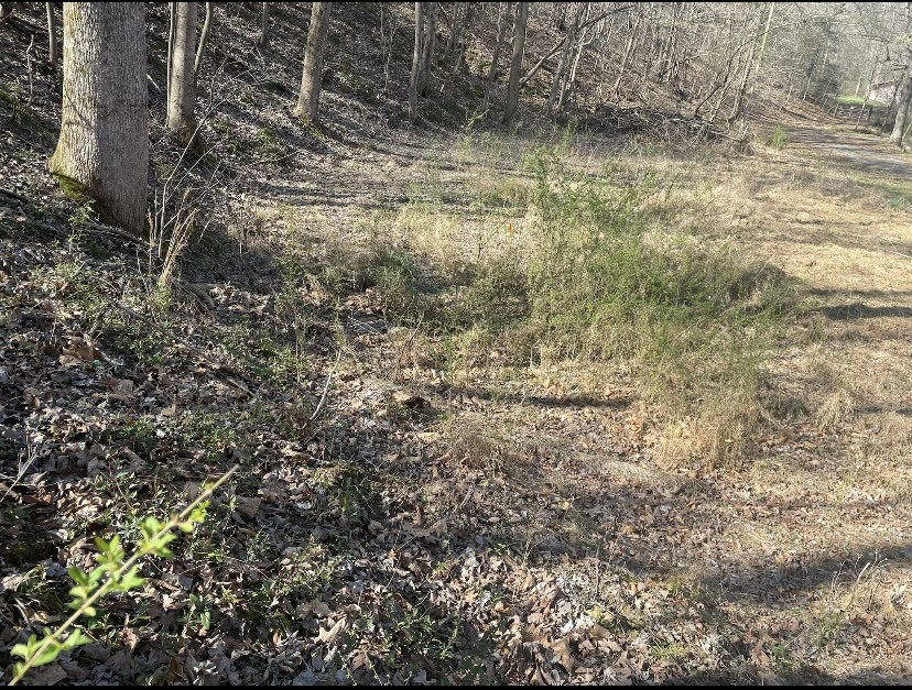 1195 Blaylock Road Dickson, TN 37055 - Photo 2 of 3