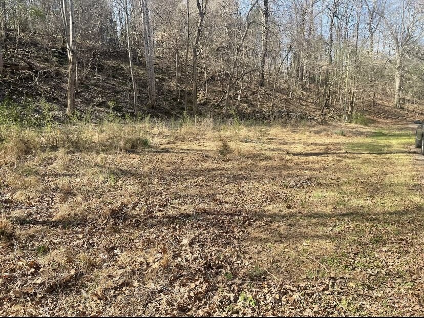 1195 Blaylock Road Dickson, TN 37055 - Photo 3 of 3