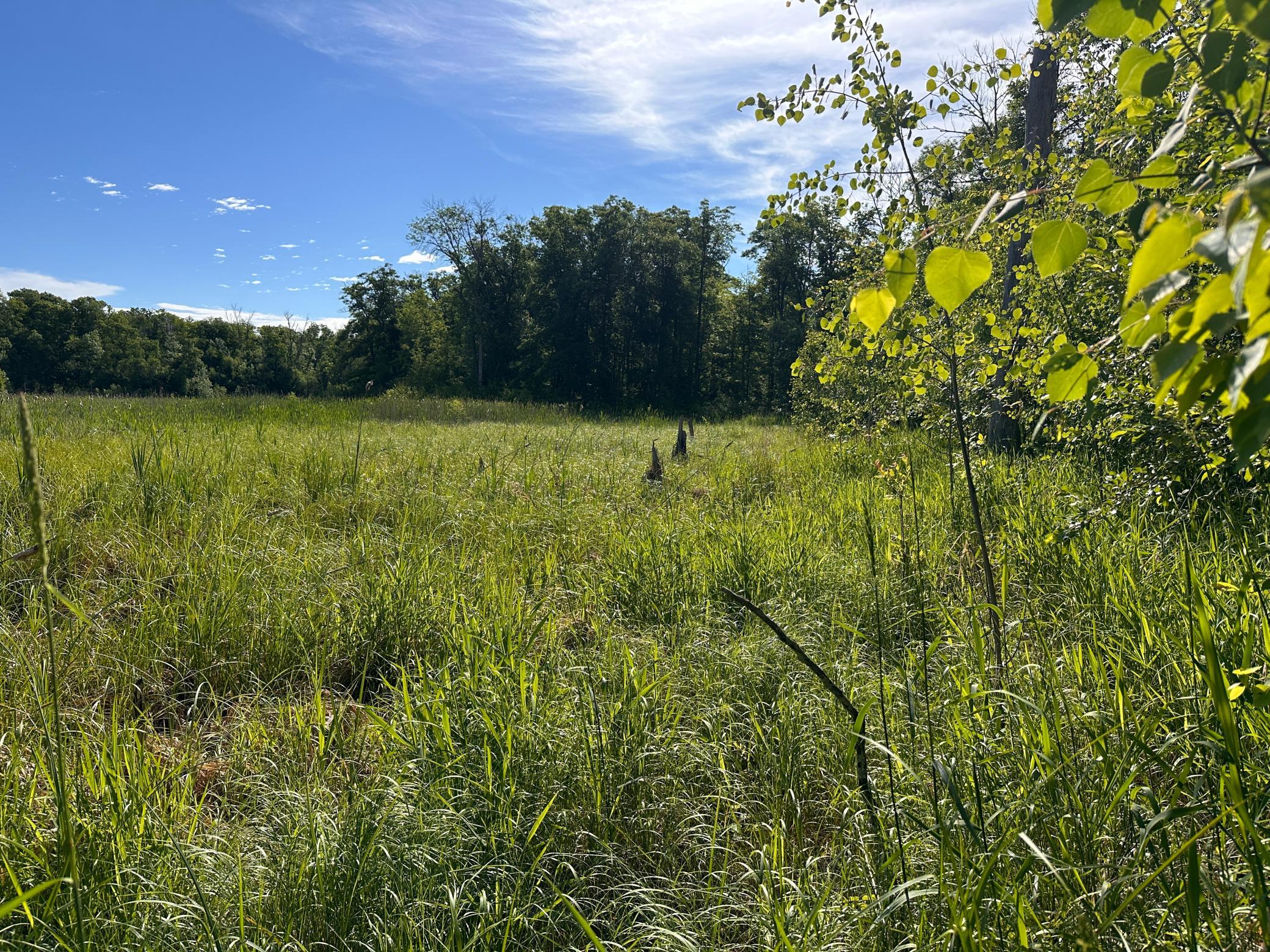 26 Co Highway 26 Rochert, MN 56578 - Photo 25 of 33
