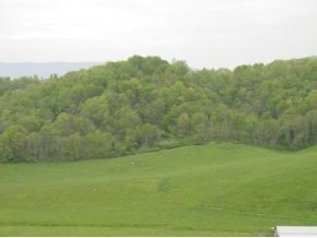 N/a Chip Ridge Road, Unit 4 & 5 Abingdon, VA 24210 - Photo 2 of 5 Photo 2
