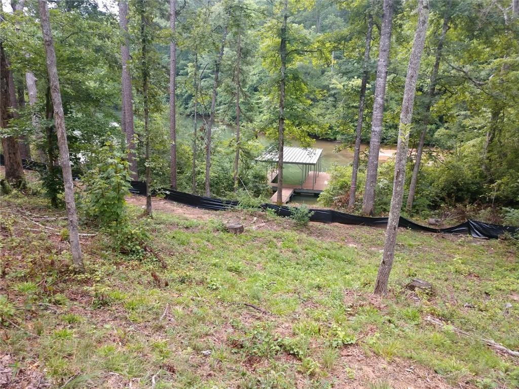 168 Sweetwater View Road, Unit W/COVERED DOCK Seneca, SC 29672 - Photo 3 of 7 Gallery Image 3