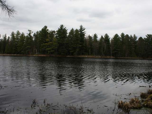 On Perch Lake Road, Unit LOT 2 Eagle River, WI 54521 - Photo 17 of 17 Gallery Image 17