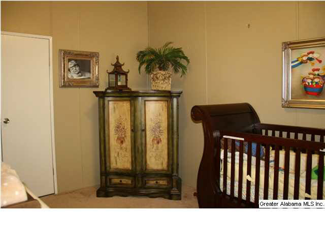 8141 Serene Lake Road McCalla, AL 35111 - Photo 27 of 32