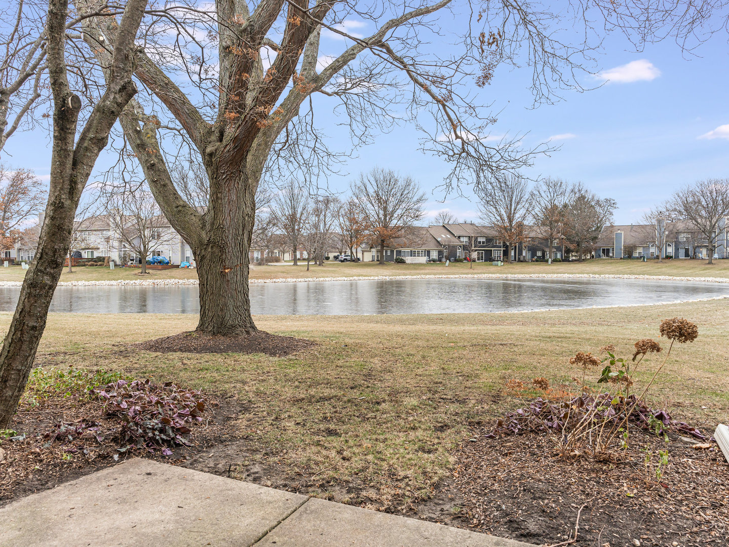 723 Ripple Brook Lane Elgin, IL 60120 - Photo 12 of 13