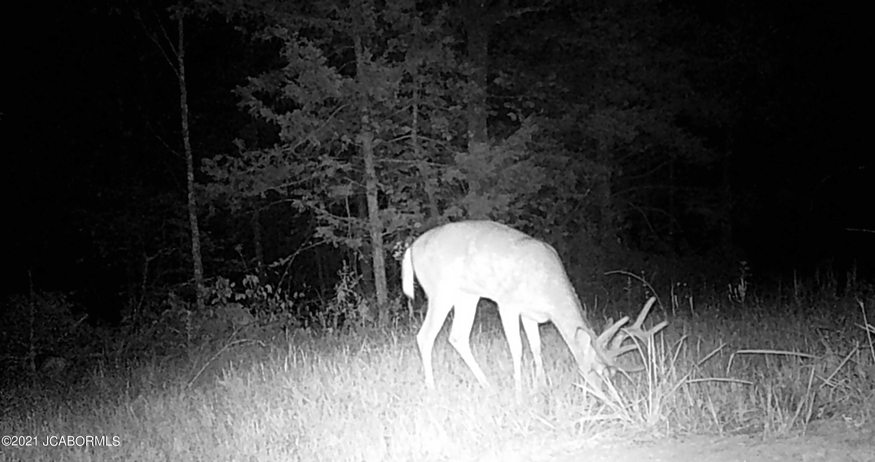 60924 Red Bird Road Jamestown, MO 65046 - Photo 17 of 50