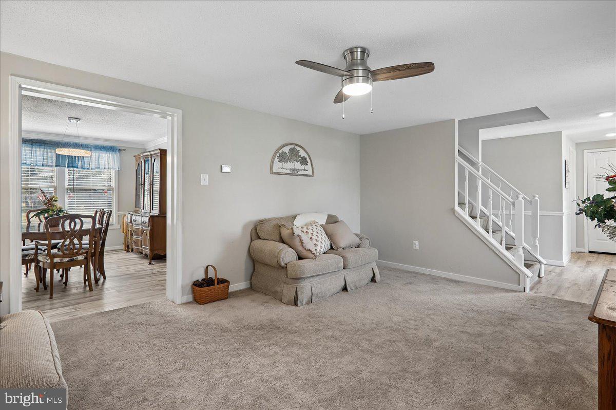 4711 Pole Road Alexandria, VA 22309 - Photo 24 of 49 Interior - Step Up
