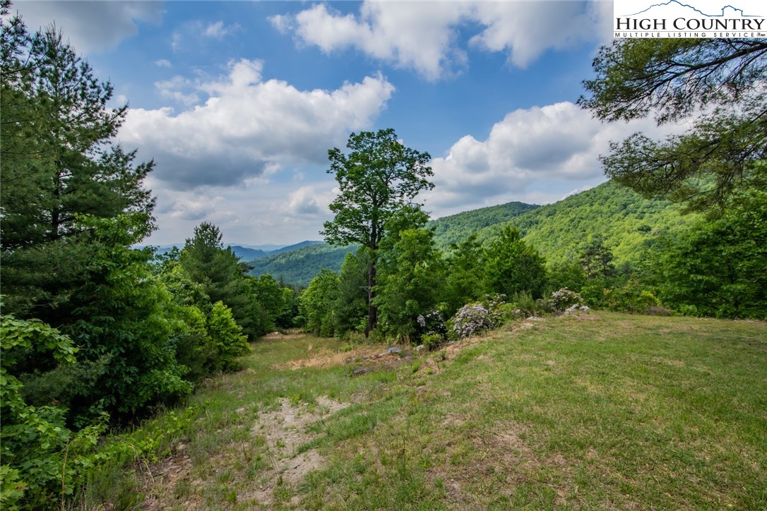 622 Eagle Nest Road Purlear, NC 28665 - Photo 49 of 50
