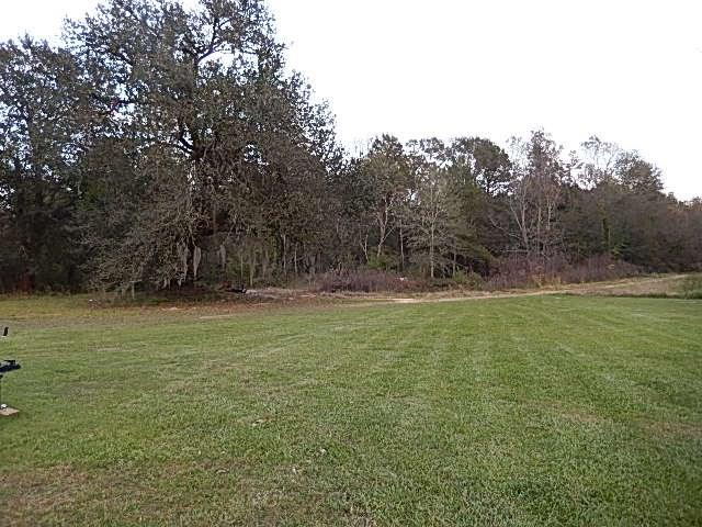 39004 Shingle Mill Road Ponchatoula, LA 70454 - Photo 6 of 16 Gallery Image 6