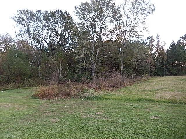 39004 Shingle Mill Road Ponchatoula, LA 70454 - Photo 7 of 16 Gallery Image 7