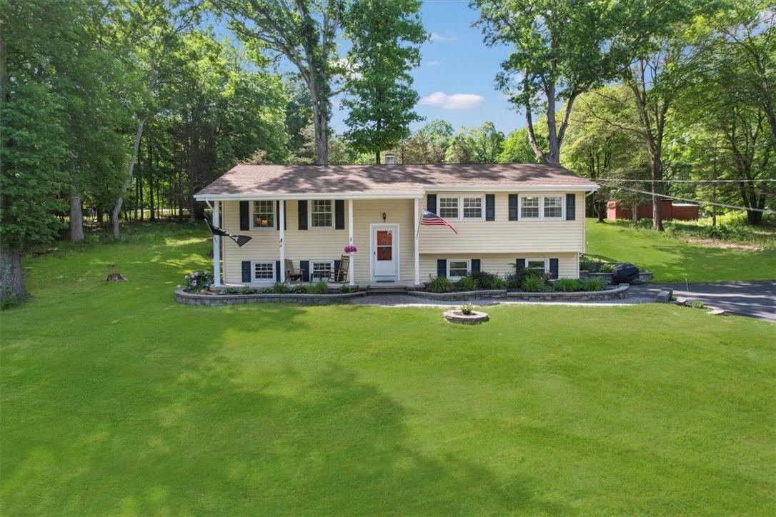 Picture Perfect Curb appeal