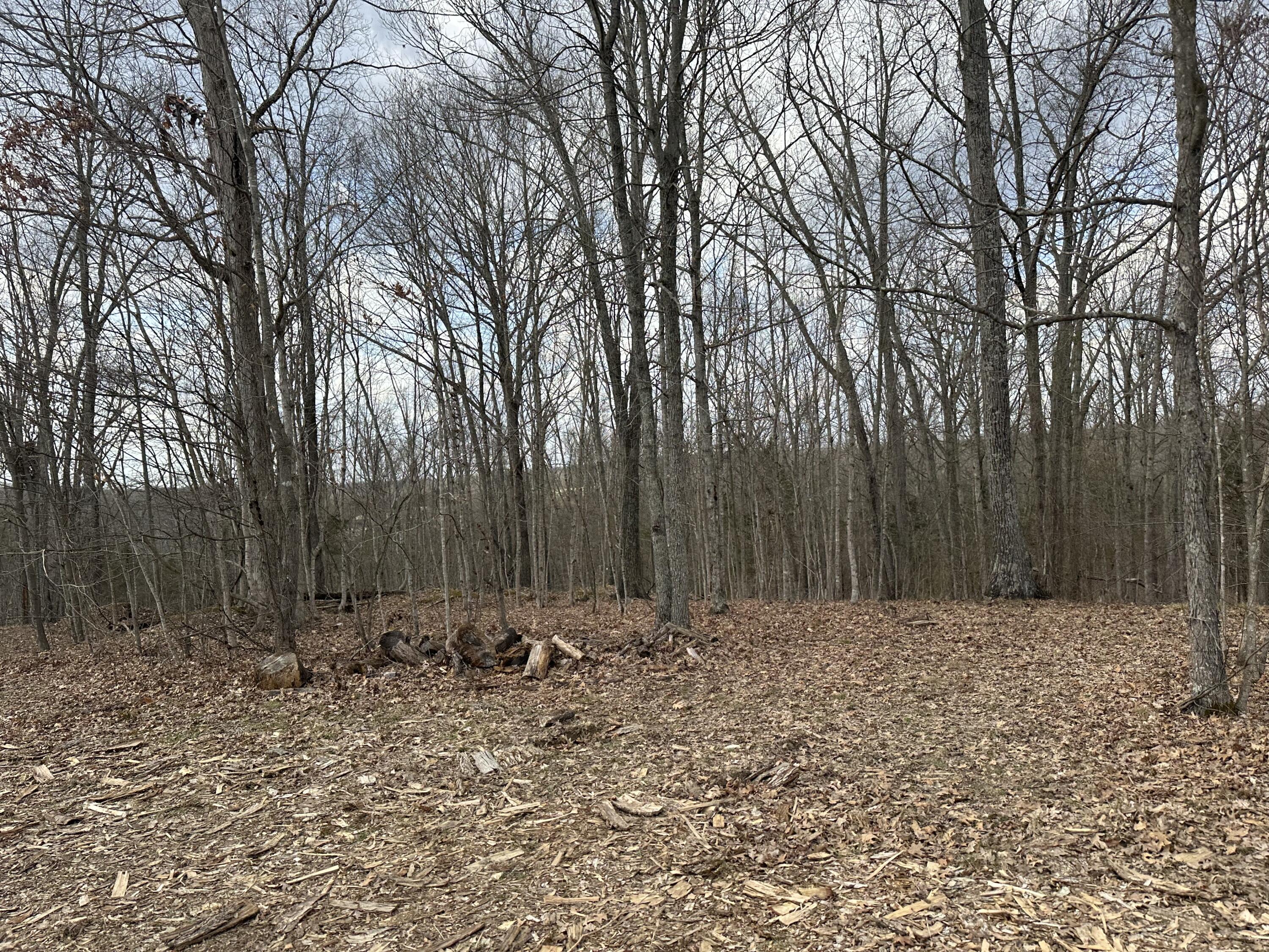 3435 Fox Trail Road Corinth, KY 41010 - Photo 4 of 19