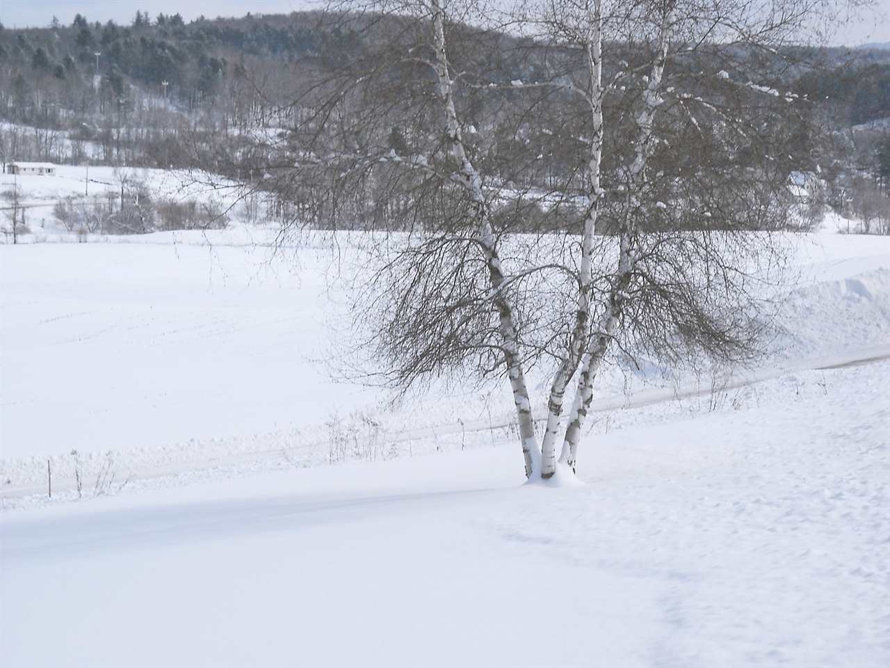397 Kinsey Road Barton, VT 05822 - Photo 7 of 19