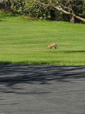 $924,900 | 18720 114th Street Southeast, Big Lake, MN 55309