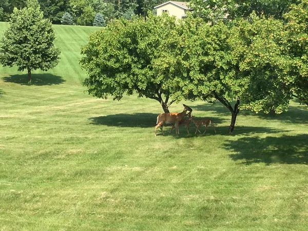 $924,900 | 18720 114th Street Southeast, Big Lake, MN 55309