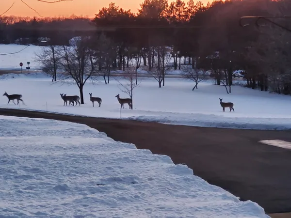 $924,900 | 18720 114th Street Southeast, Big Lake, MN 55309