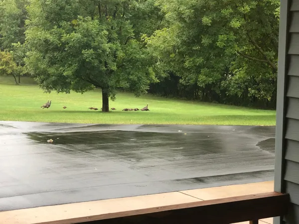 $924,900 | 18720 114th Street Southeast, Big Lake, MN 55309