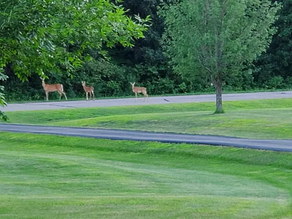 $924,900 | 18720 114th Street Southeast, Big Lake, MN 55309