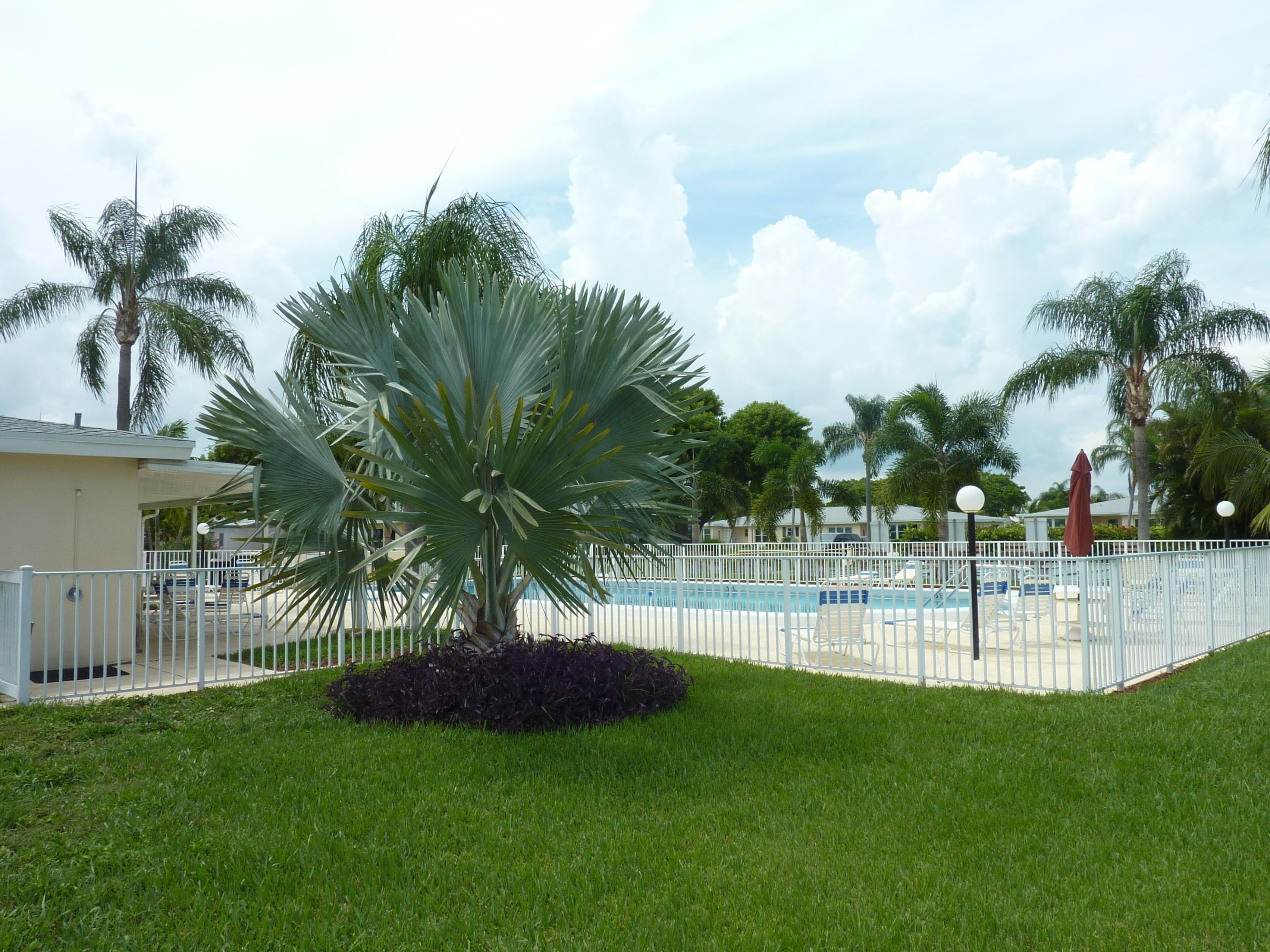 170 North High Point, Unit C Boynton Beach, FL 33435 - Photo 31 of 37 P1050438