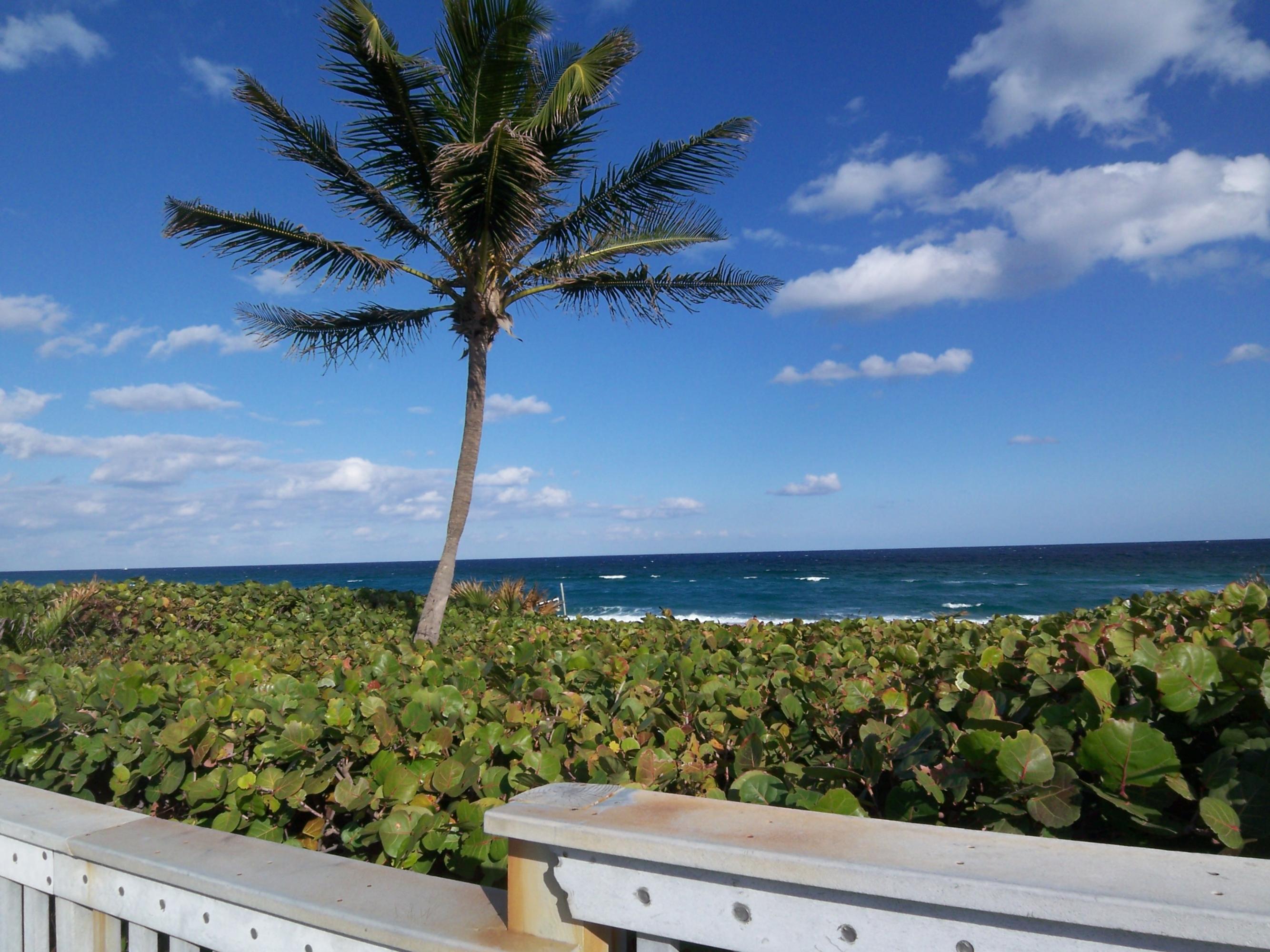 170 North High Point, Unit C Boynton Beach, FL 33435 - Photo 36 of 37 Ocean Front Park