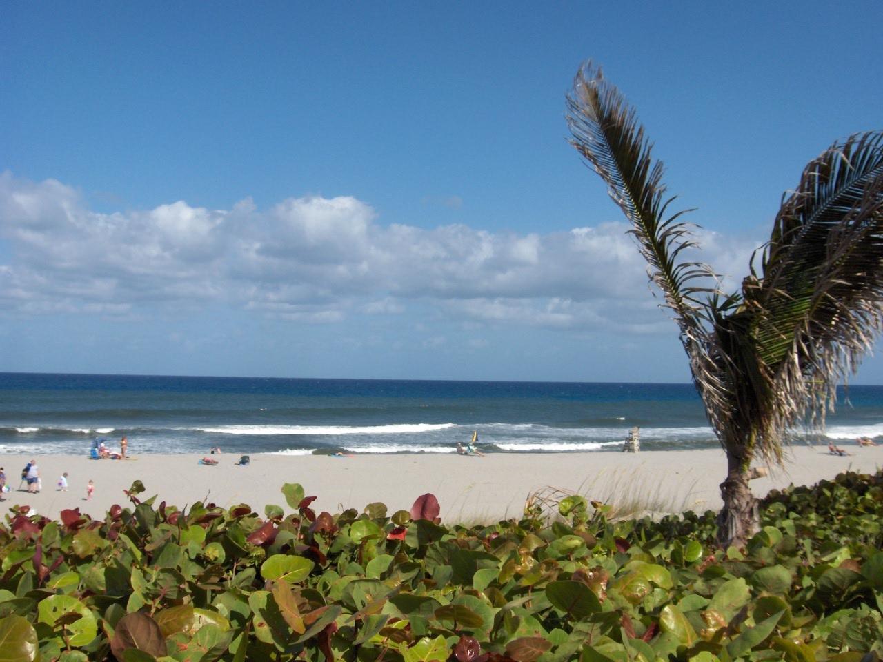 170 North High Point, Unit C Boynton Beach, FL 33435 - Photo 37 of 37 HPIM1217