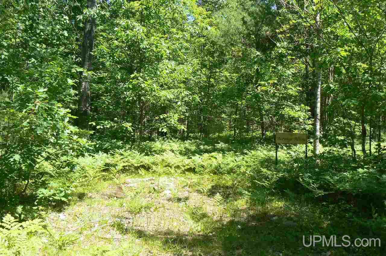 N5491 Chamberlain Road, Unit PARCEL A & B Wetmore, MI 49895 - Photo 16 of 21