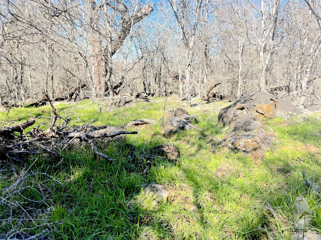 a view of a yard with a tree