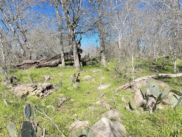 a backyard of a house with large trees