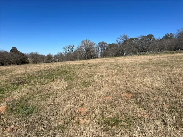 a view of a field with trees in the background