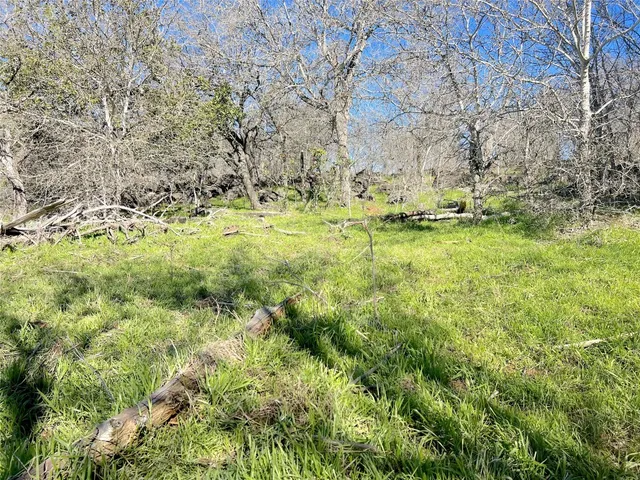 a view of yard covered with green space