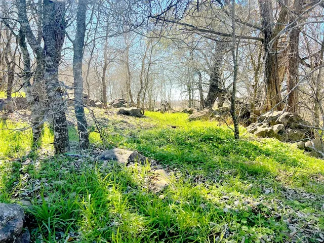a view of swimming pool with a yard