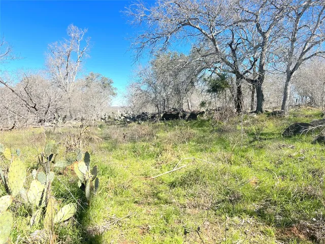 a view of a yard with a tree