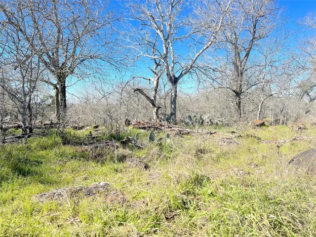 a view of garden covered with snow