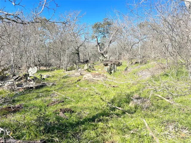 a view of a yard with a tree