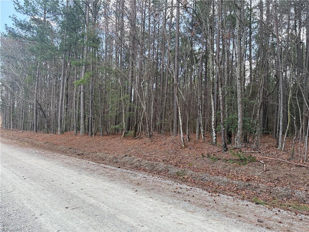 Lot 14 Woods Road Seagrove, NC 27341 - Photo 3 of 7