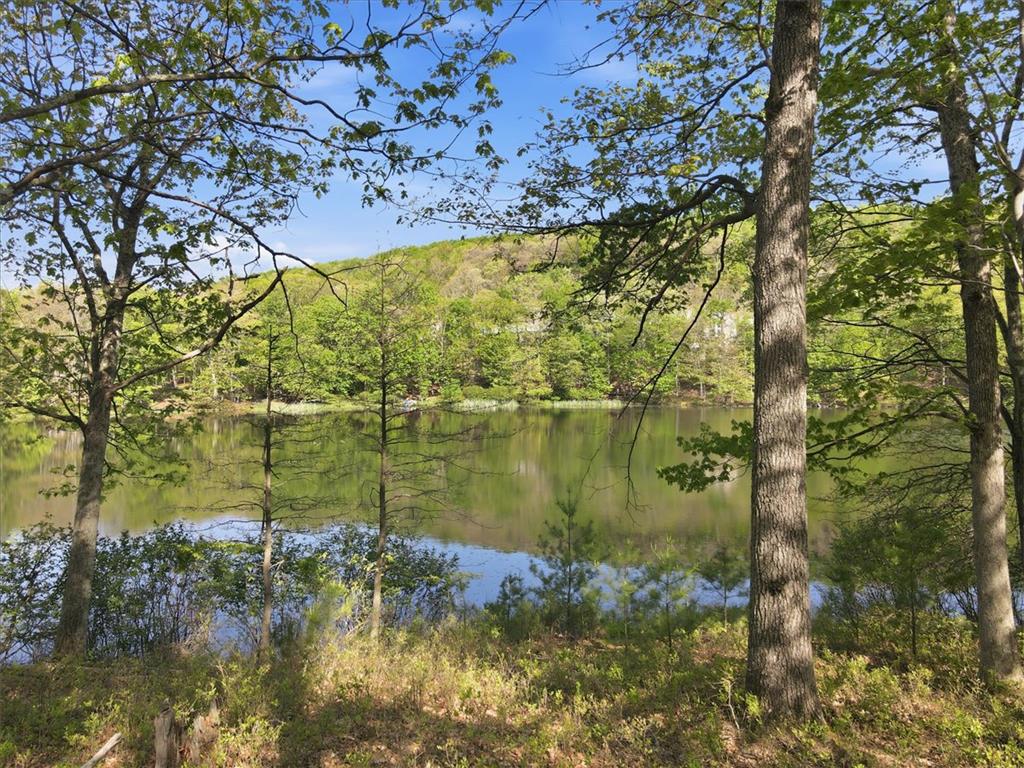 3301 Windermere Drive Bushkill, PA 18324 - Photo 64 of 93