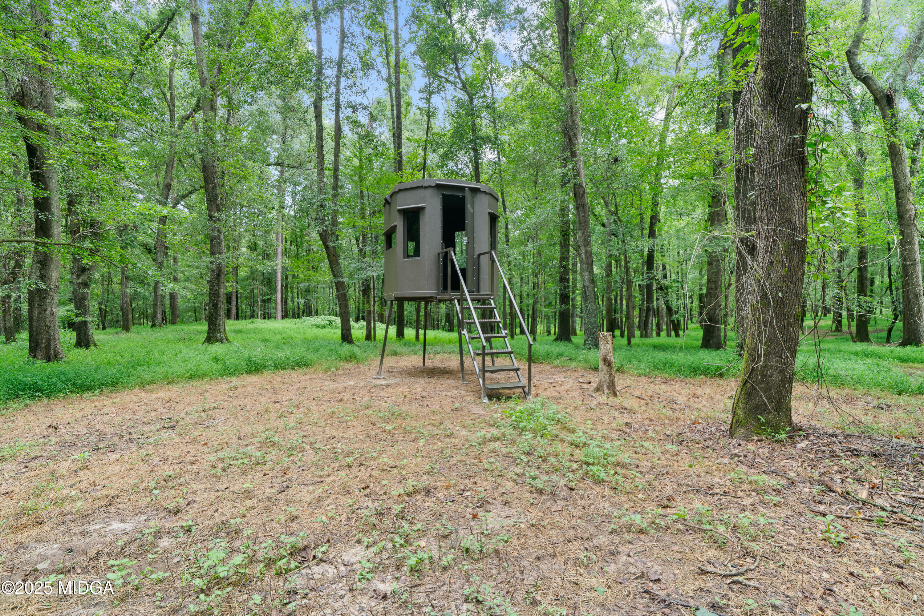 1971 Highway 49 Gray, GA 31032 - Photo 75 of 98 a view of a park with a tree