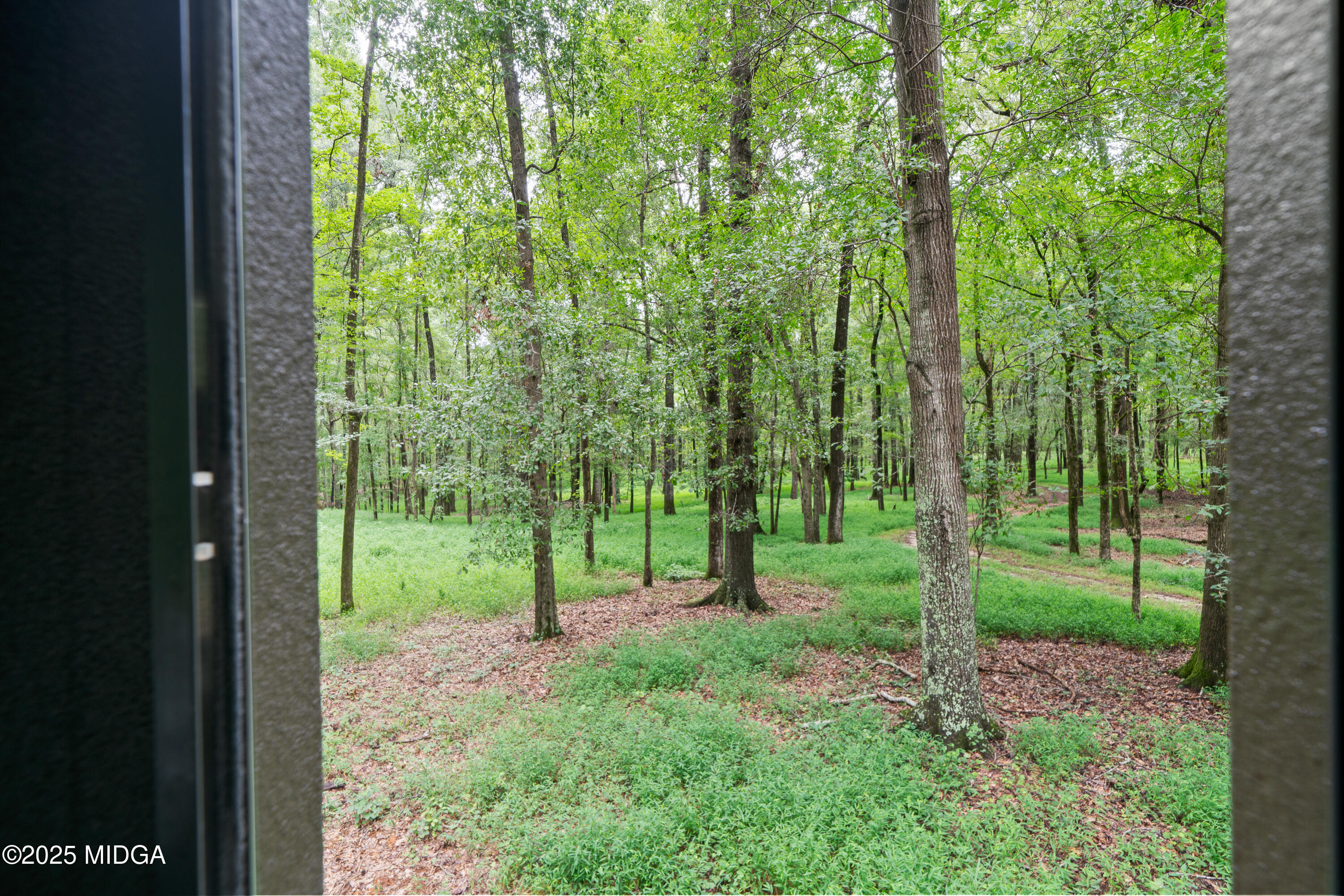 1971 Highway 49 Gray, GA 31032 - Photo 76 of 98 a view of a house with a tree in front of it