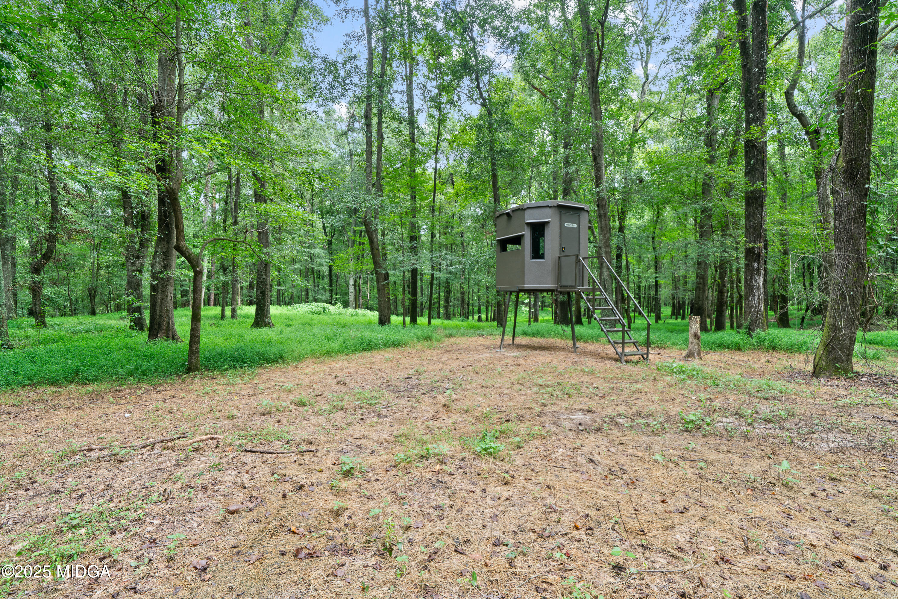 1971 Highway 49 Gray, GA 31032 - Photo 79 of 98 a view of a house with a yard and tree s