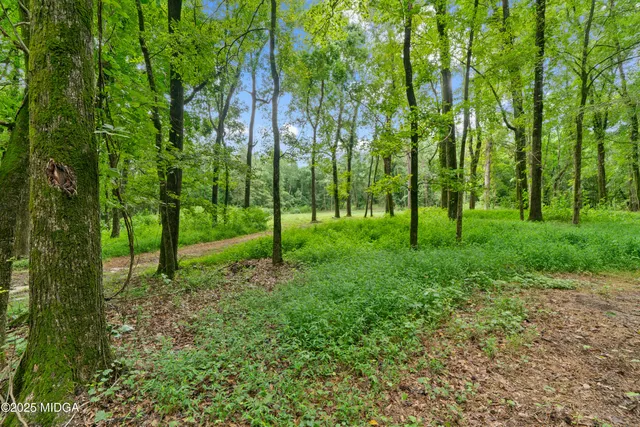 $1,500,000 | 1971 Highway 49, Gray, GA 31032