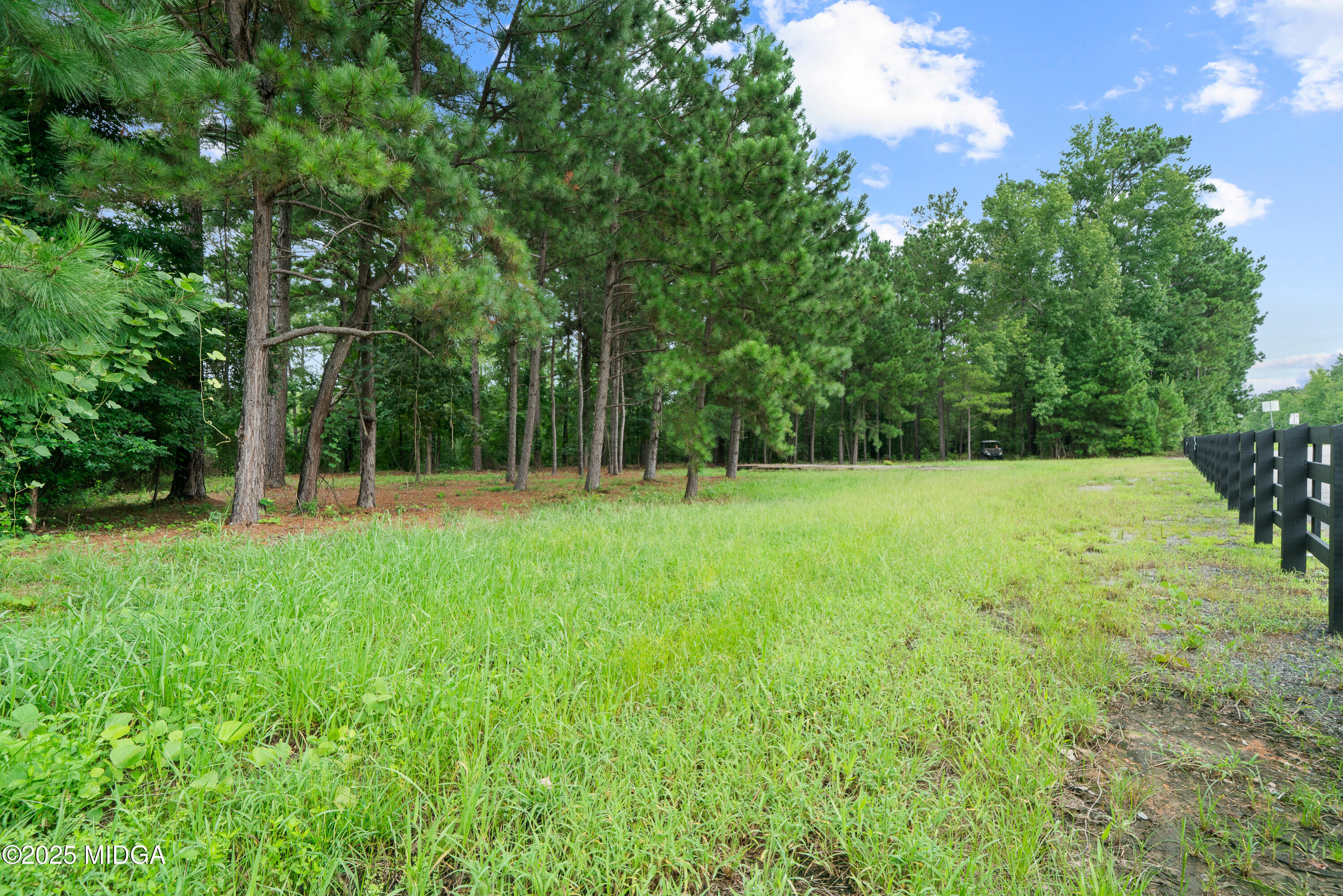 1971 Highway 49 Gray, GA 31032 - Photo 84 of 98 a view of green field with trees in the background