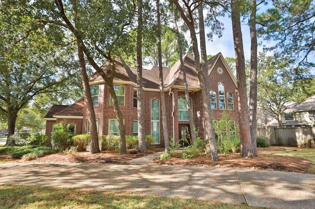 a view of road with large trees