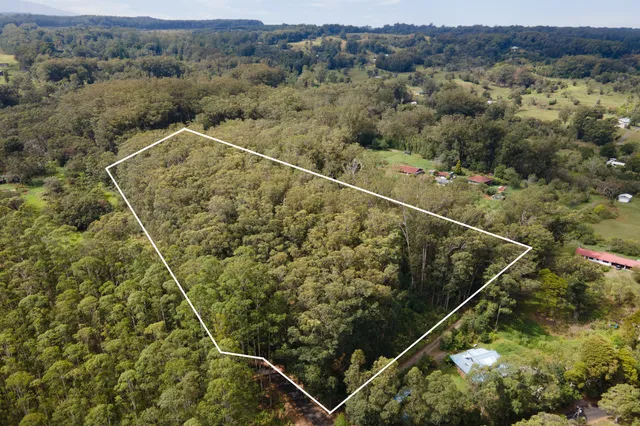 an aerial view of a yard