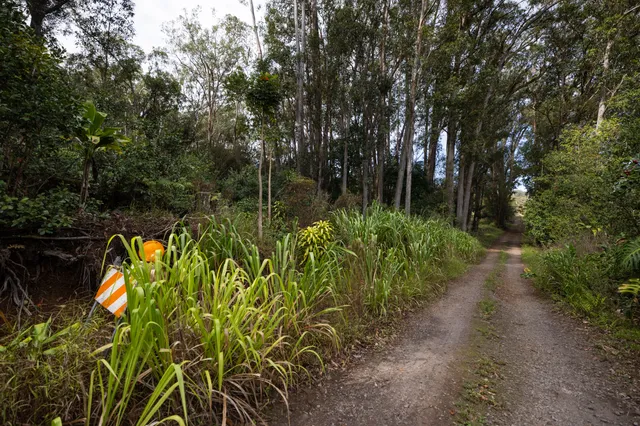 a view of outdoor space and yard